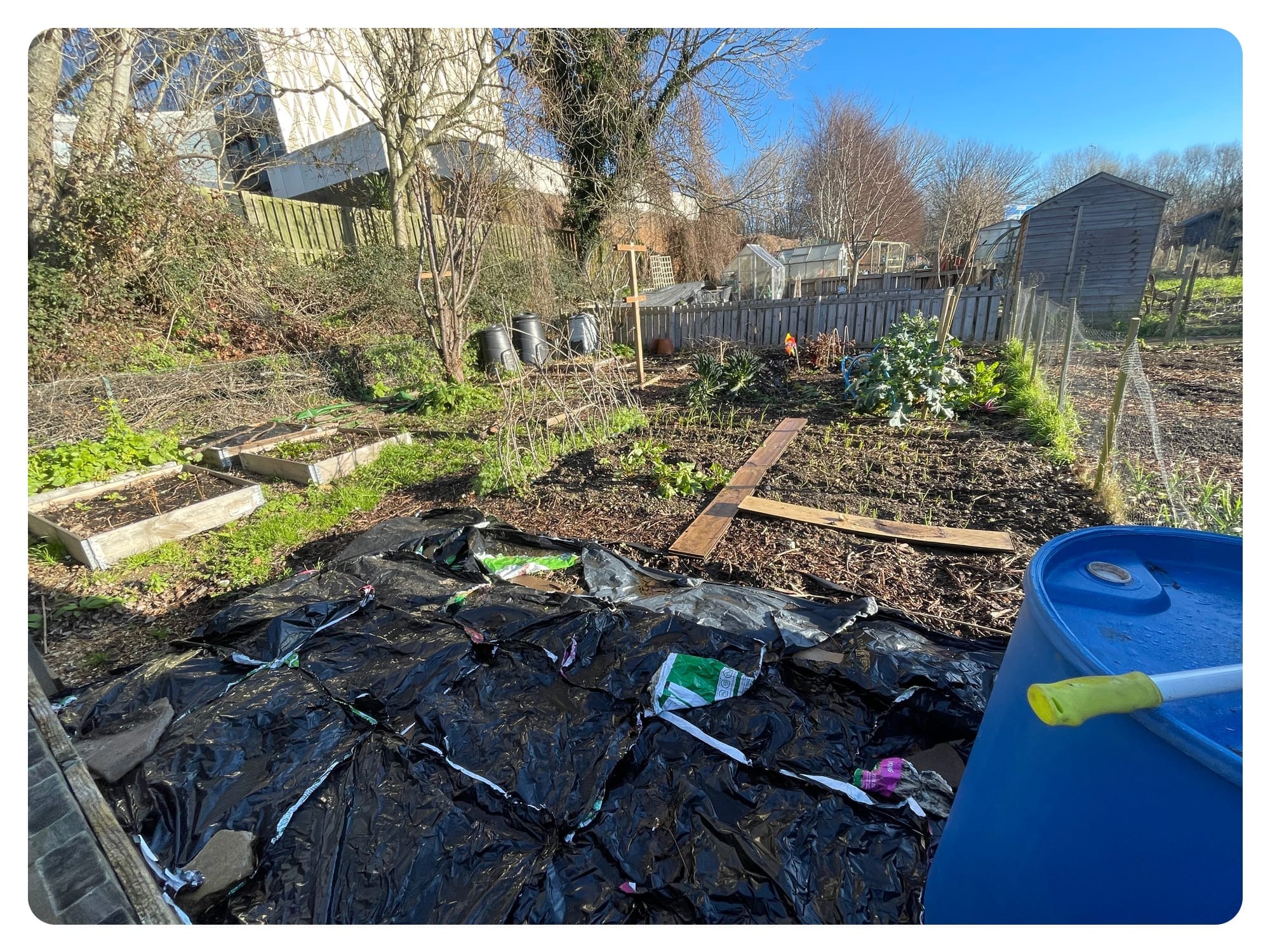 Happy New Year - Jan 2026