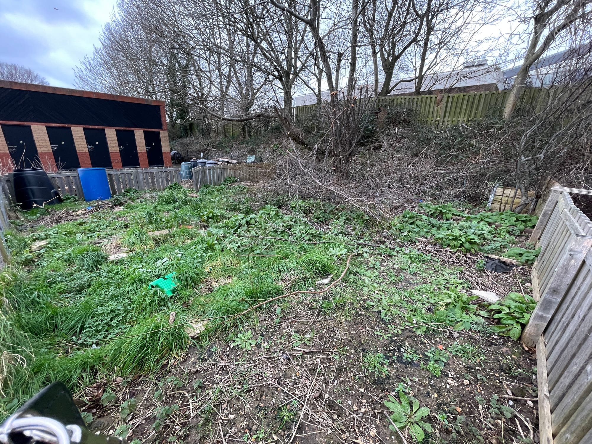 An invitation to plot 30c - one year on