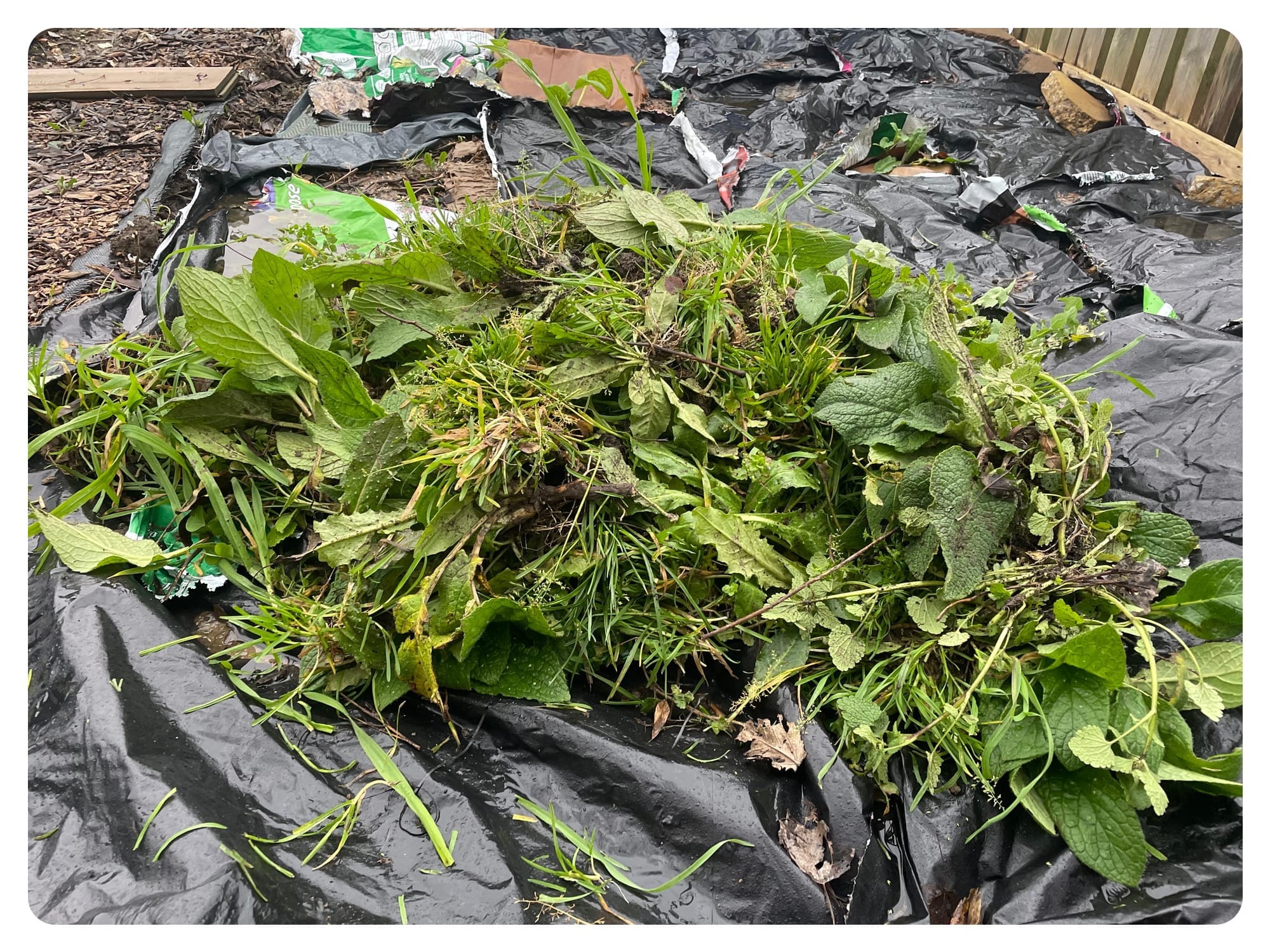 I will ache tomorrow