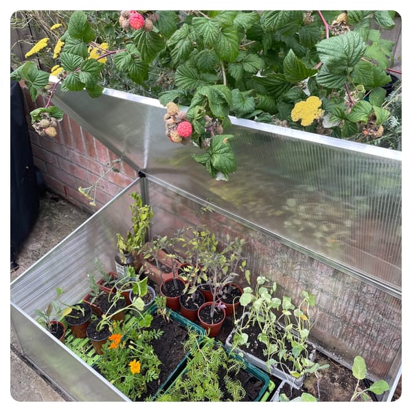 Grow, Grow, Grow