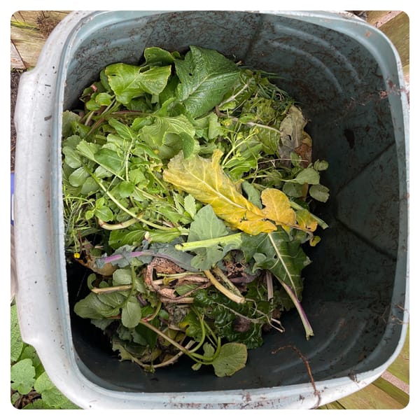 Compost Consolidation