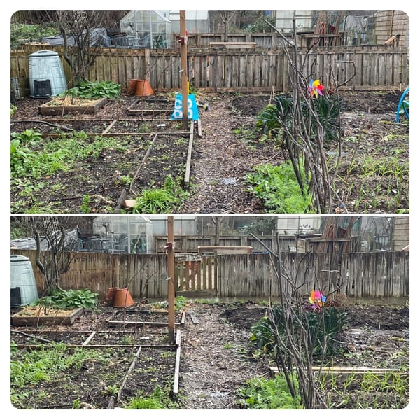 First Project of the Year - Jan '26